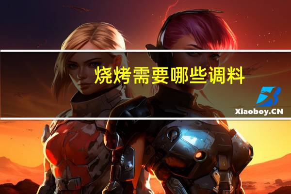 烧烤需要哪些调料