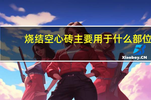 烧结空心砖主要用于什么部位