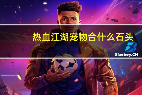 热血江湖宠物合什么石头