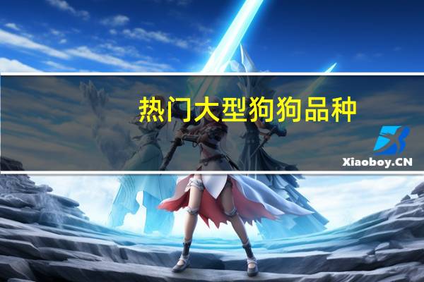 热门大型狗狗品种