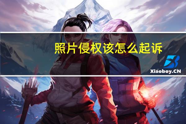 照片侵权该怎么起诉