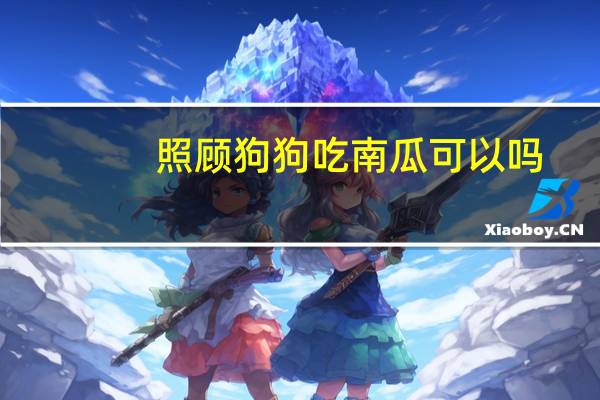 照顾狗狗吃南瓜可以吗