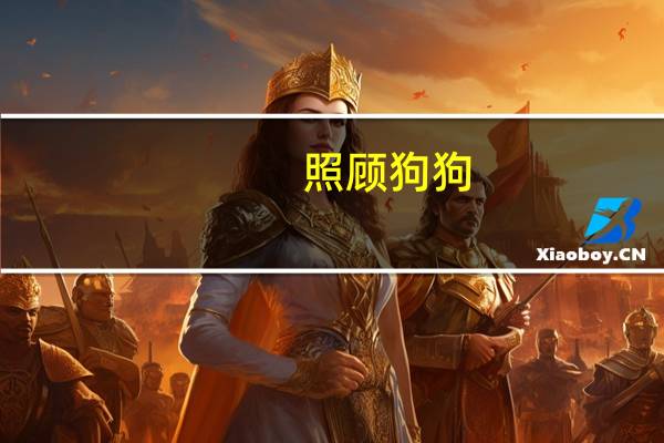 照顾狗狗