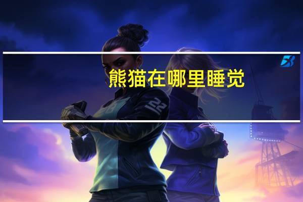熊猫在哪里睡觉