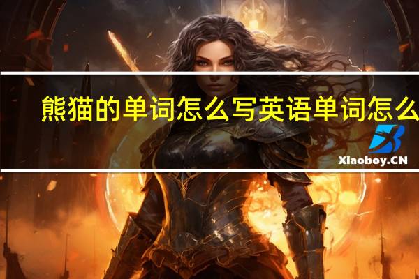 熊猫的单词怎么写英语单词怎么写