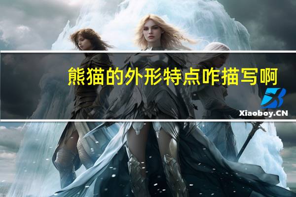 熊猫的外形特点咋描写啊