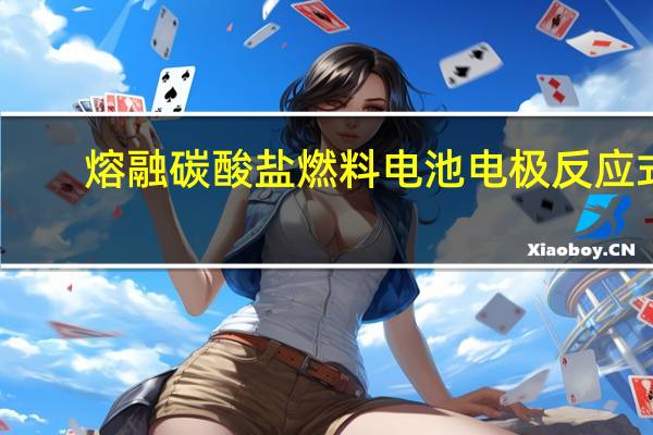 熔融碳酸盐燃料电池电极反应式