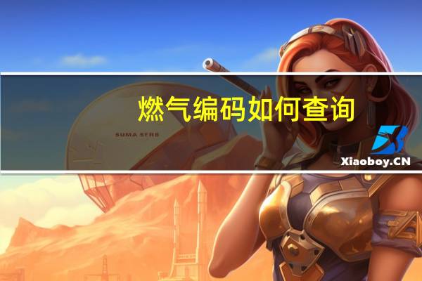 燃气编码如何查询