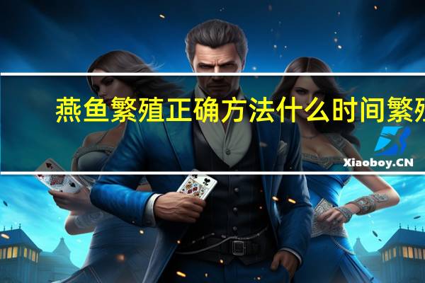 燕鱼繁殖正确方法什么时间繁殖