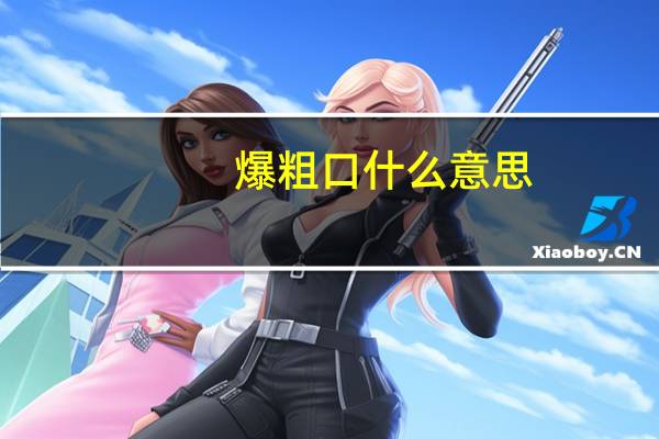 爆粗口什么意思