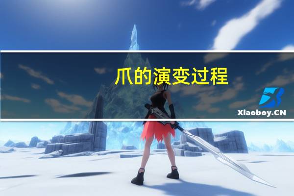 爪的演变过程