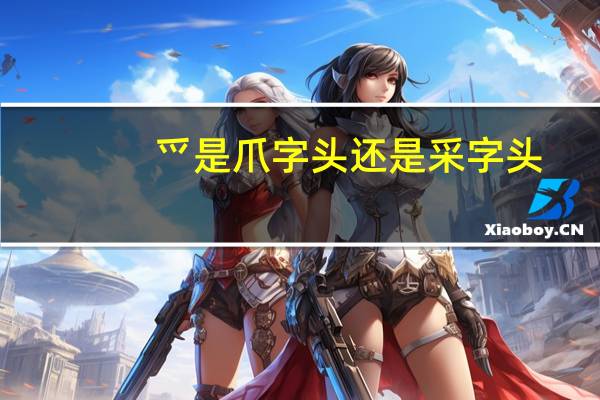 爫是爪字头还是采字头
