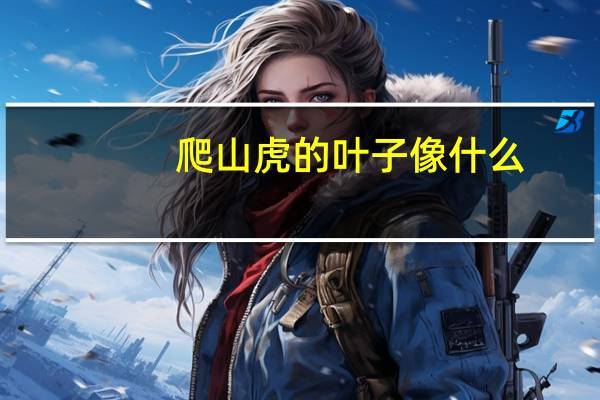 爬山虎的叶子像什么