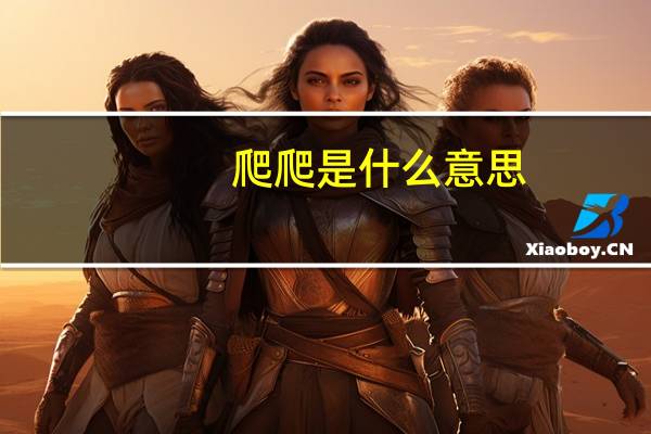 爬爬是什么意思