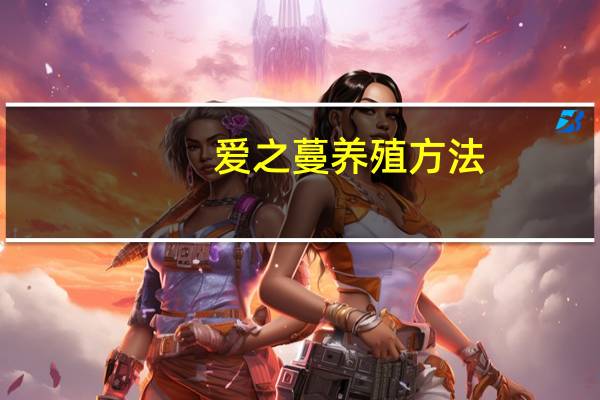 爱之蔓养殖方法