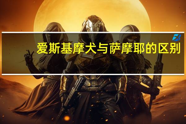 爱斯基摩犬与萨摩耶的区别