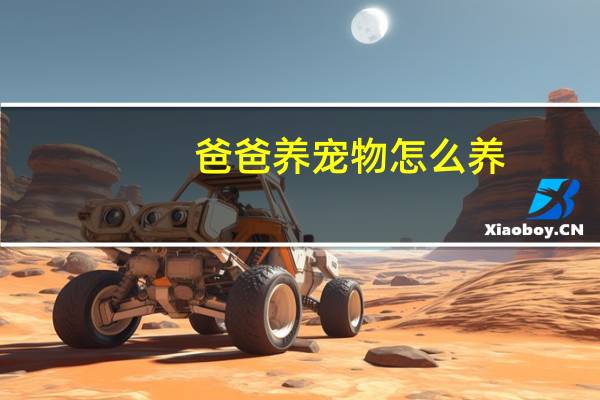 爸爸养宠物怎么养
