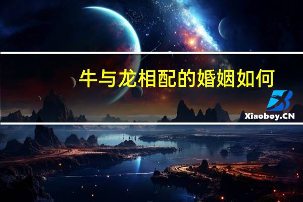 牛与龙相配的婚姻如何