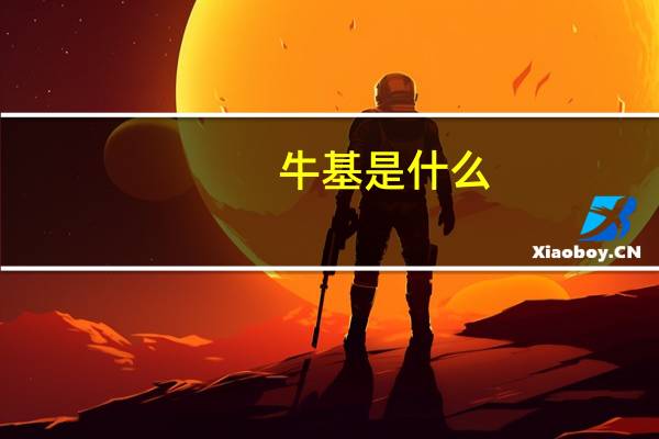 牛基是什么