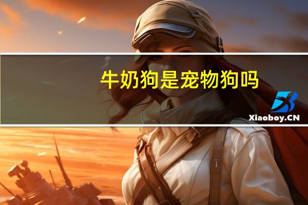 牛奶狗是宠物狗吗
