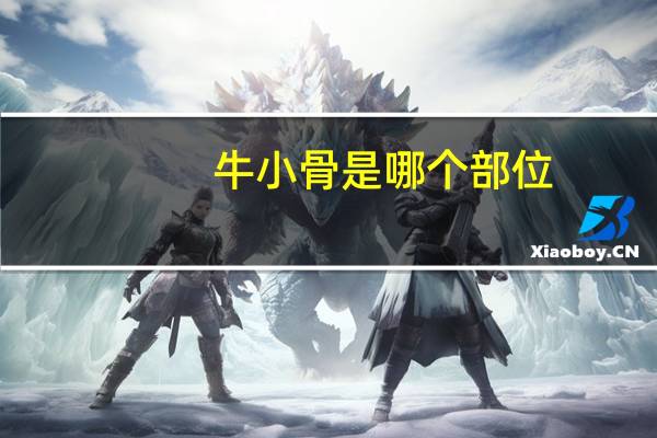 牛小骨是哪个部位