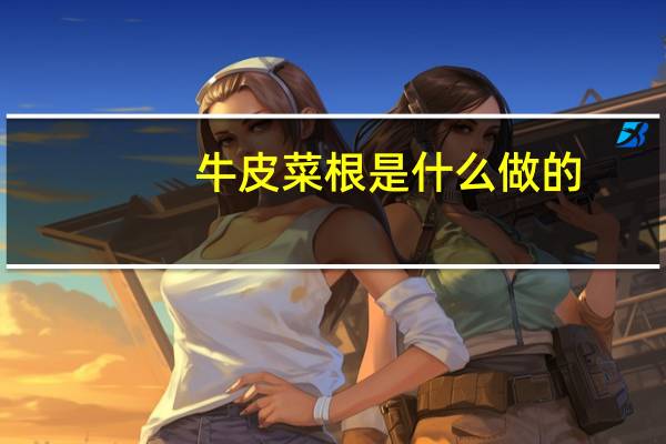 牛皮菜根是什么做的