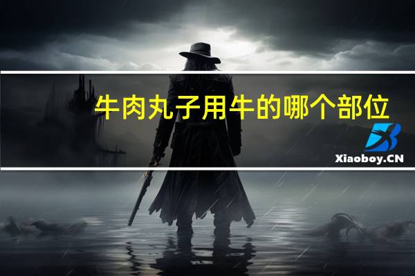 牛肉丸子用牛的哪个部位