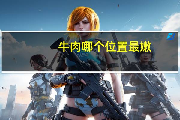 牛肉哪个位置最嫩