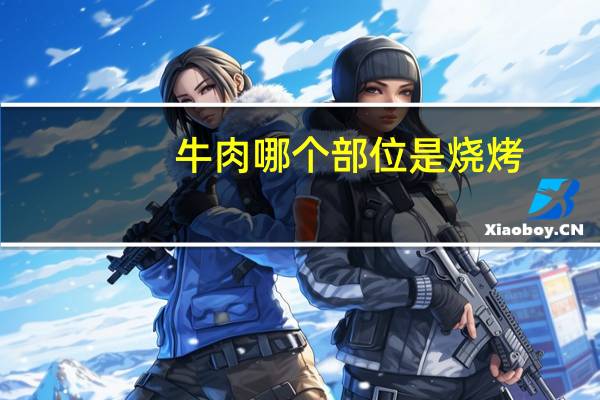 牛肉哪个部位是烧烤