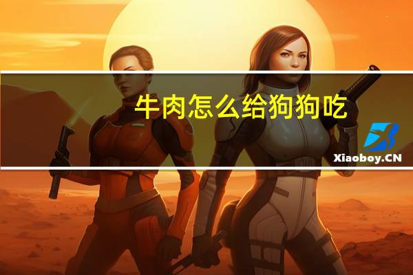 牛肉怎么给狗狗吃