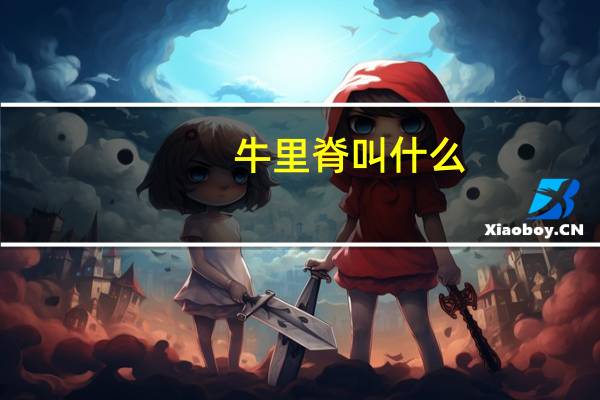 牛里脊叫什么