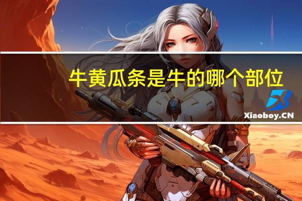 牛黄瓜条是牛的哪个部位