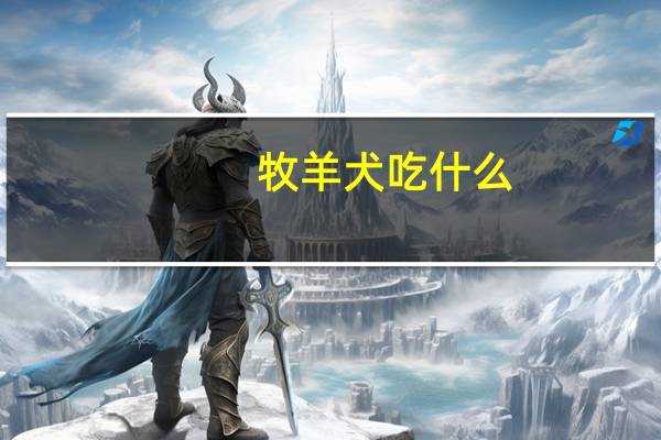 牧羊犬吃什么