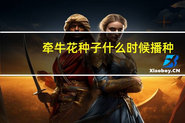 牵牛花种子什么时候播种