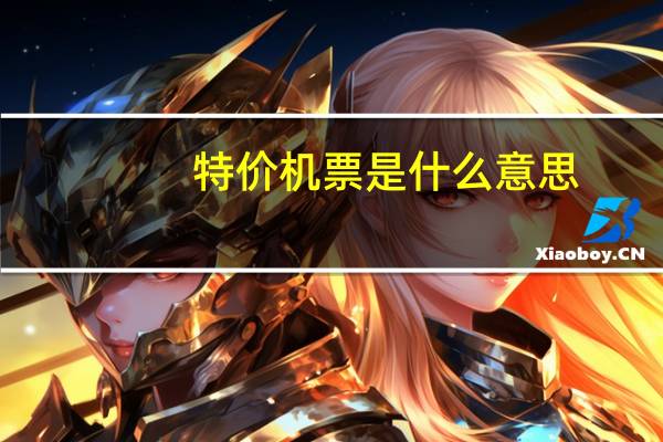 特价机票是什么意思