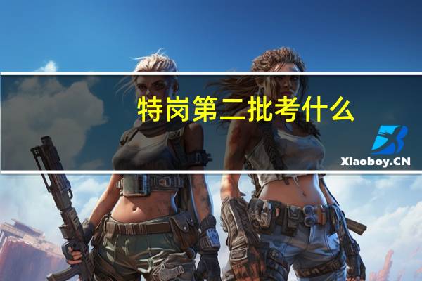 特岗第二批考什么