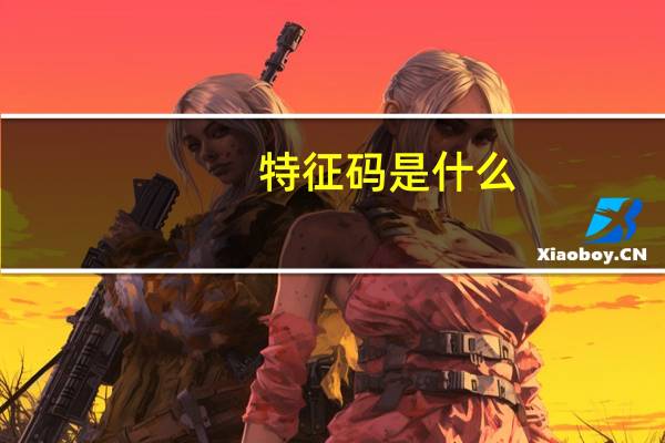 特征码是什么