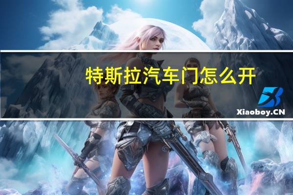 特斯拉汽车门怎么开