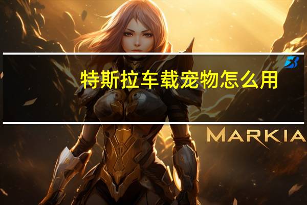 特斯拉车载宠物怎么用