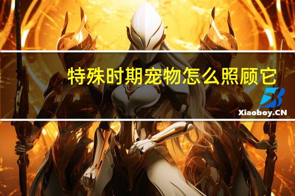 特殊时期宠物怎么照顾它