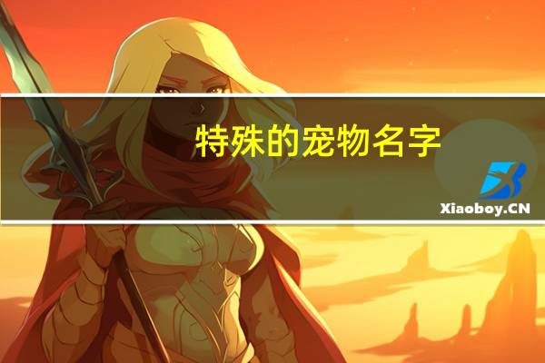 特殊的宠物名字