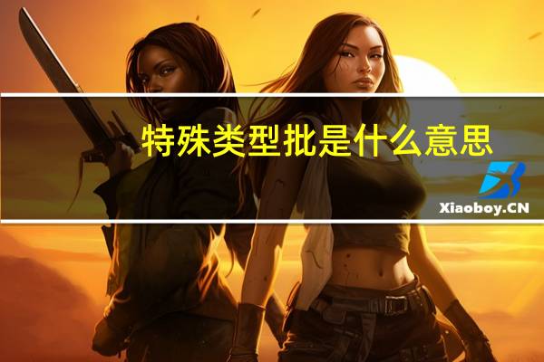 特殊类型批是什么意思