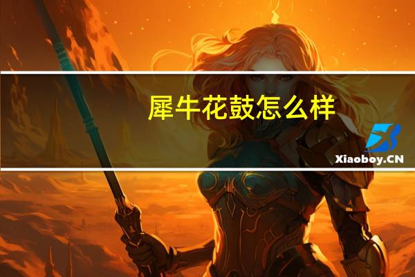 犀牛花鼓怎么样