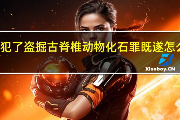 犯了盗掘古脊椎动物化石罪既遂怎么处罚