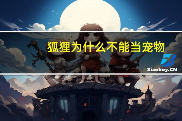 狐狸为什么不能当宠物