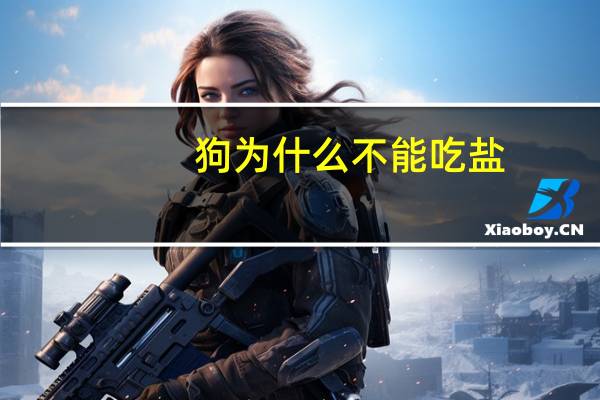 狗为什么不能吃盐