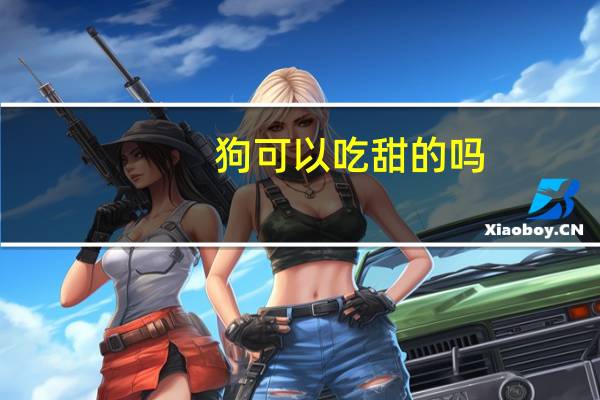 狗可以吃甜的吗