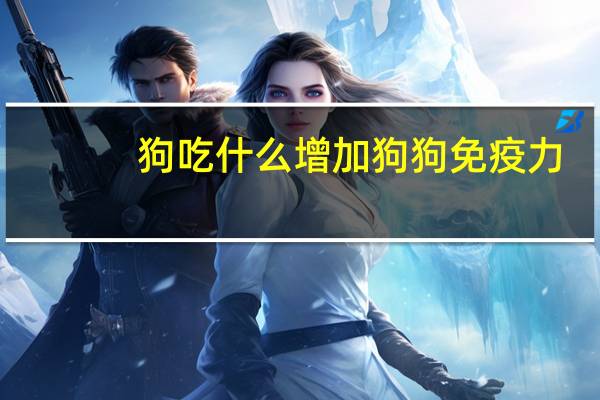 狗吃什么增加狗狗免疫力