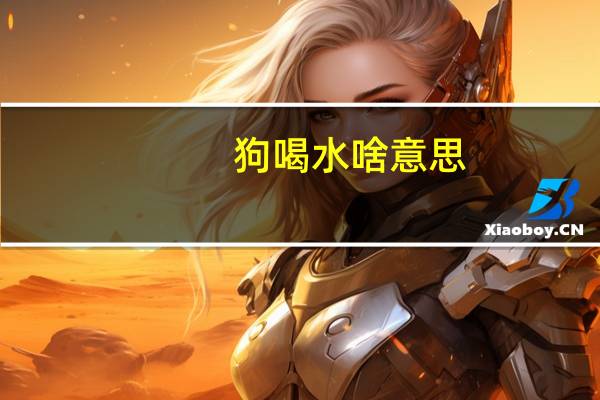 狗喝水啥意思