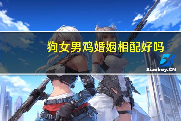 狗女男鸡婚姻相配好吗